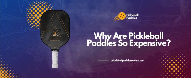 Read more about the article Why Are Pickleball Paddles So Expensive?