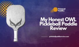 My Honest OWL Pickleball Paddle Review 2024